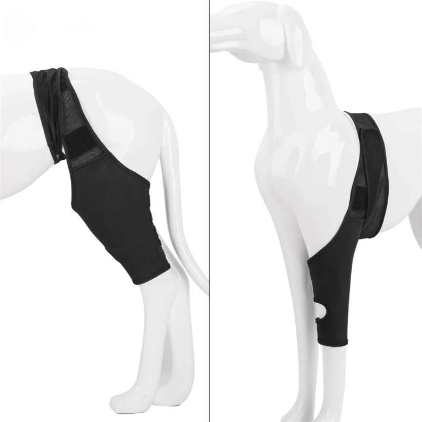 Knee Support Brace for Dogs – Joint Pain Relief and Rehabilitation