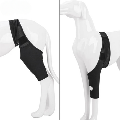 Knee Support Brace for Dogs – Joint Pain Relief and Rehabilitation
