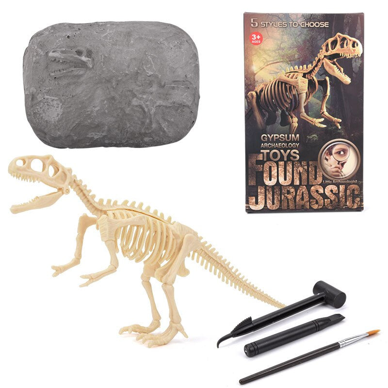 Excavate Your Own Dinosaur Treasures!