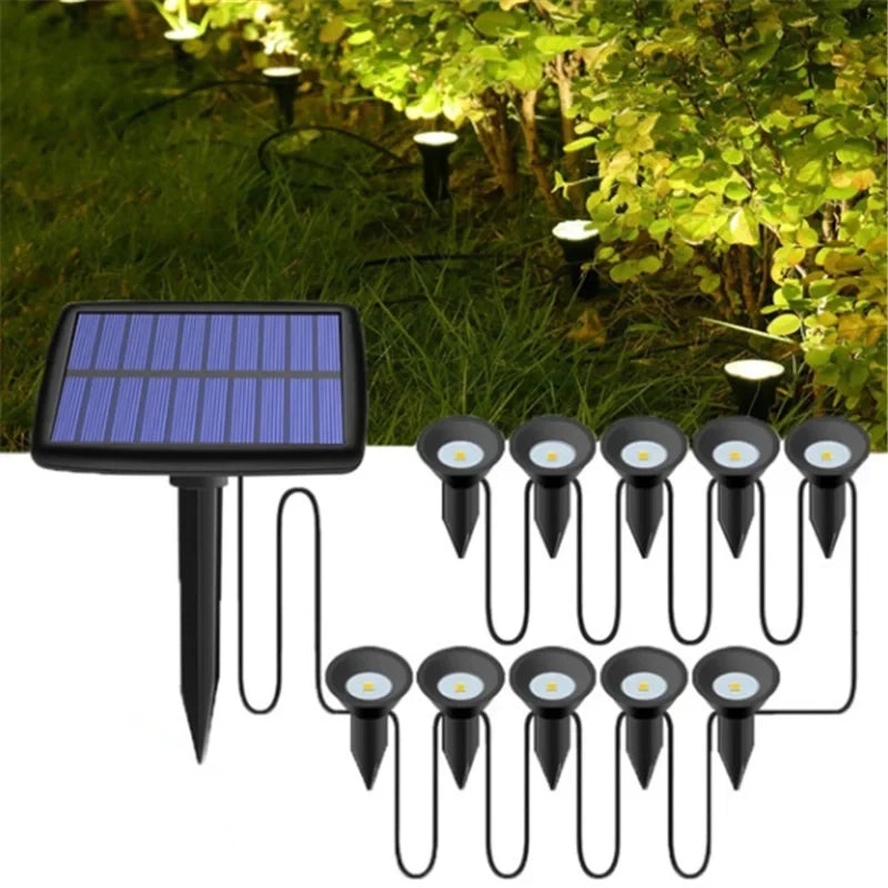Solar Garden Lights | LED Pathway Illumination for Lawn & Patio | IP65 Waterproof
