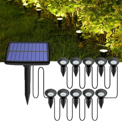 Solar Garden Lights | LED Pathway Illumination for Lawn & Patio | IP65 Waterproof