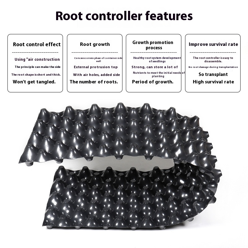 Enhanced Root Growth Solution for Flourishing Plants