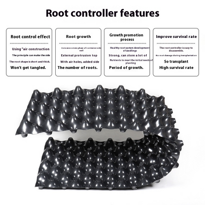 Enhanced Root Growth Solution for Flourishing Plants