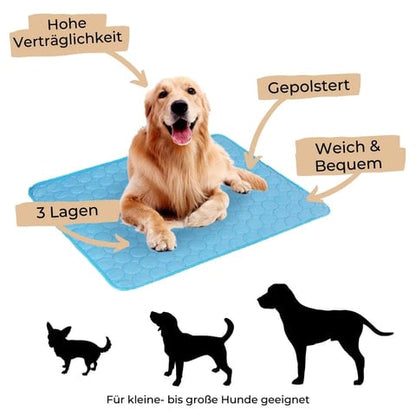 Keeps Your Dog Cool, Calm, and Comfortable All Day