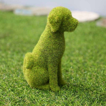 Transform Your Garden into a Lush Oasis Instantly