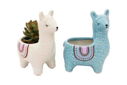 Brighten Your Space Instantly with Charming Greenery