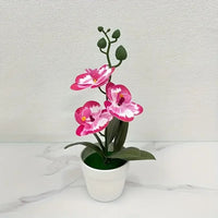 Pink edge