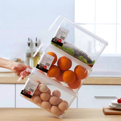 Clear Food Storage Container with Lid