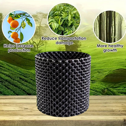 Enhanced Root Growth Solution for Flourishing Plants