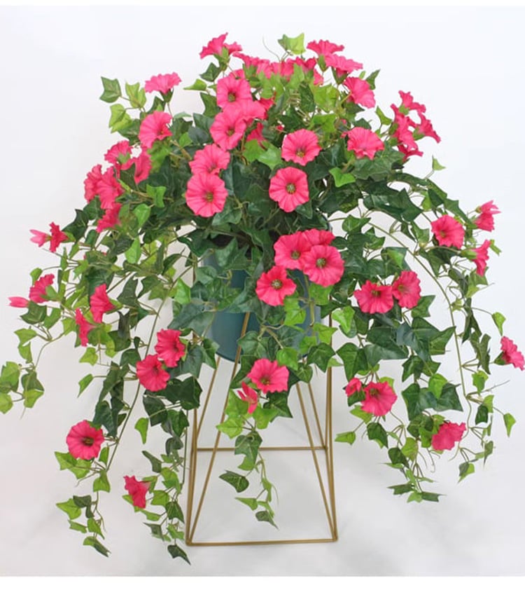 Buy 3, Get 3 Free | Vibrant, Low-Maintenance Color That Lasts