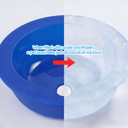 Cooling Pet Bowl for Daily Hydration and Refreshment