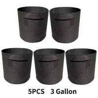 3 Gallons 25 x 22 cm