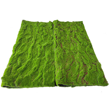 Green Artificial Turf with Moss-Like Plant Appearance