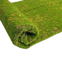 yellow dot moss
