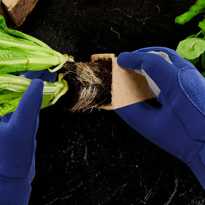 Cut and Scratch Protection for Gardening – Anti-Thorn Solution