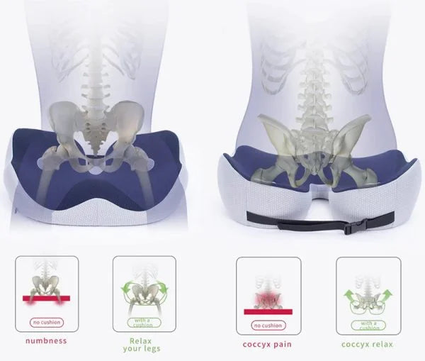 Ergonomic Seat Cushion for All-Day Comfort and Pain-Free Sitting