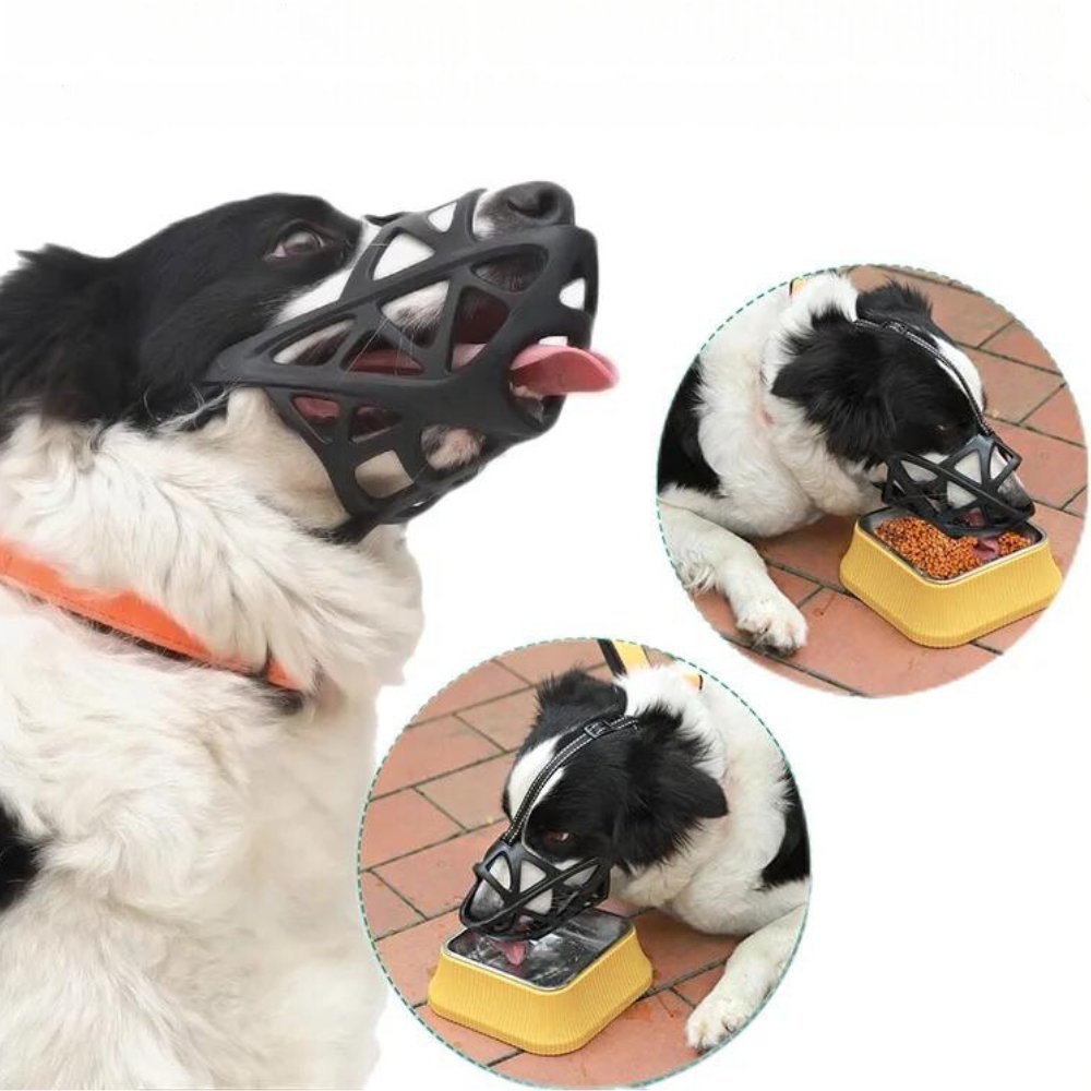 Calm Dogs Instantly, Prevents Safe Biting and Barking