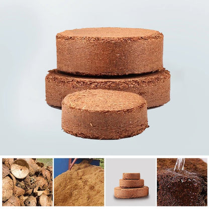 Eco-Friendly Coconut Fiber Growth Medium for Plants