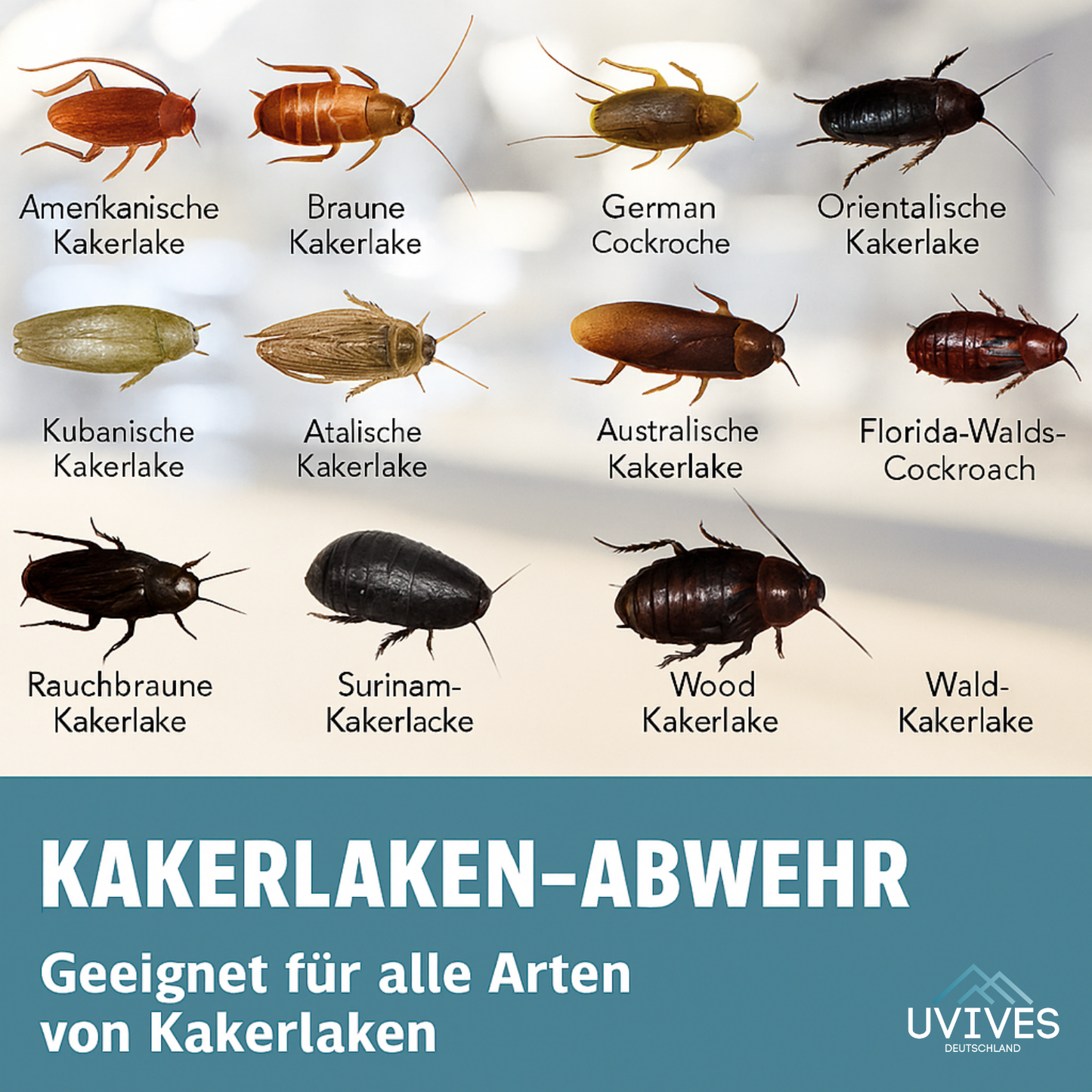 Free 4-Pack Offer | Chemical-Free Solution for Cockroach Control