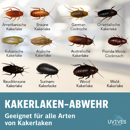 Free 4-Pack Offer | Chemical-Free Solution for Cockroach Control