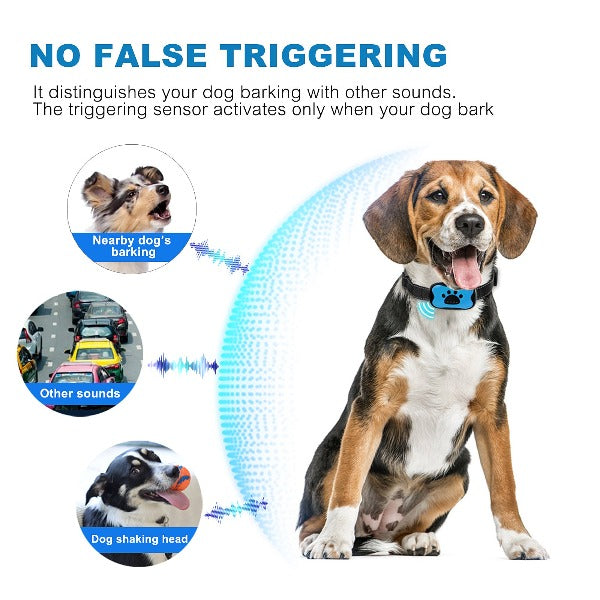 Vibration Training Collar for Bark Control
