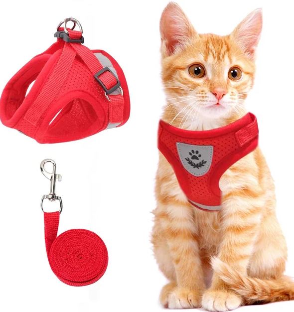 Adjustable, Breathable, Light-Up Cat Harness