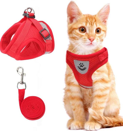 Adjustable, Breathable, Light-Up Cat Harness