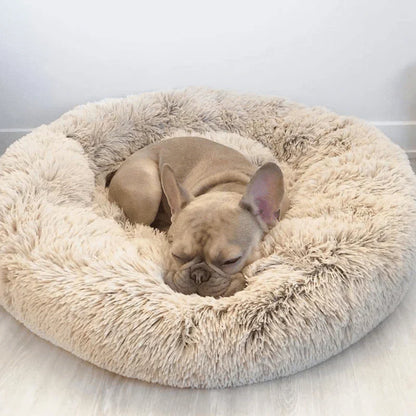 Dog Bed for Relaxation and Comfort