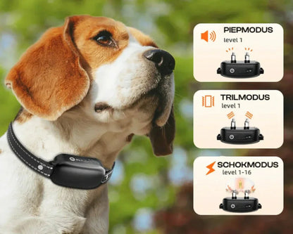 Waterproof Remote Control Electronic Training Collar for Dogs