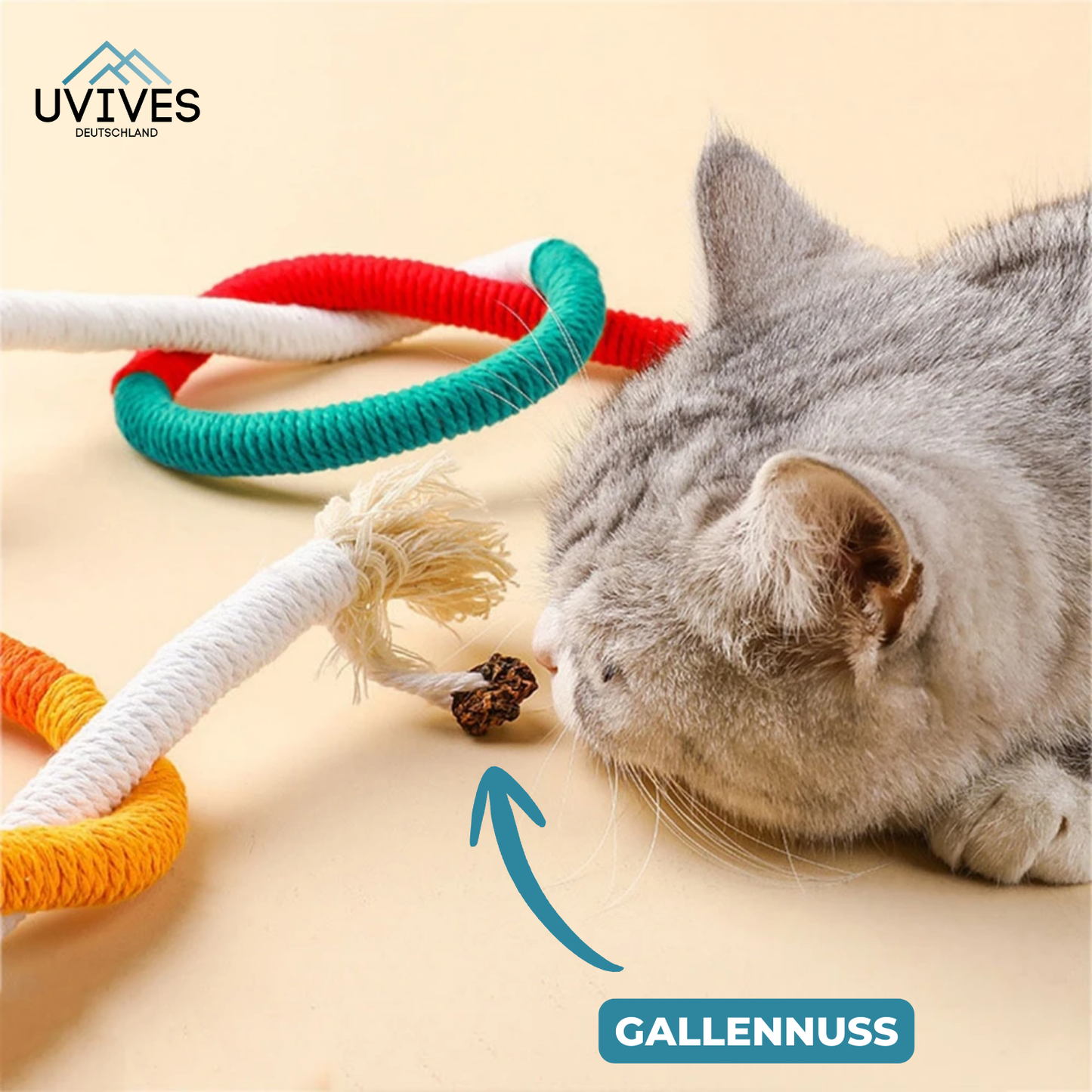 Keep Your Cat Happy and Active while Maintaining Dental Health