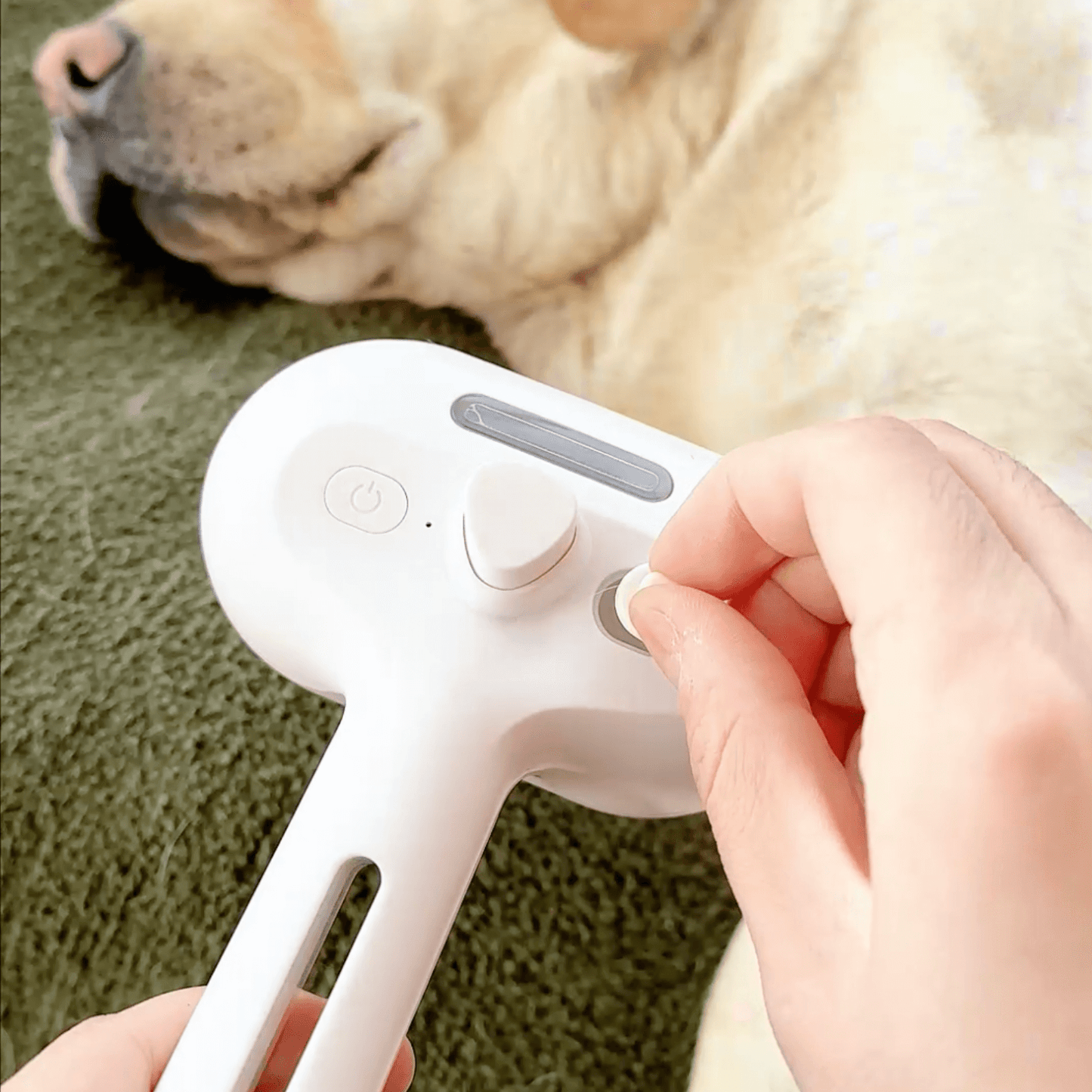 Steam Brush for Dogs – Gentle Grooming Tool for All Coat Types