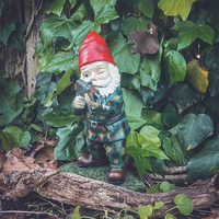 Camouflage Dwarf B