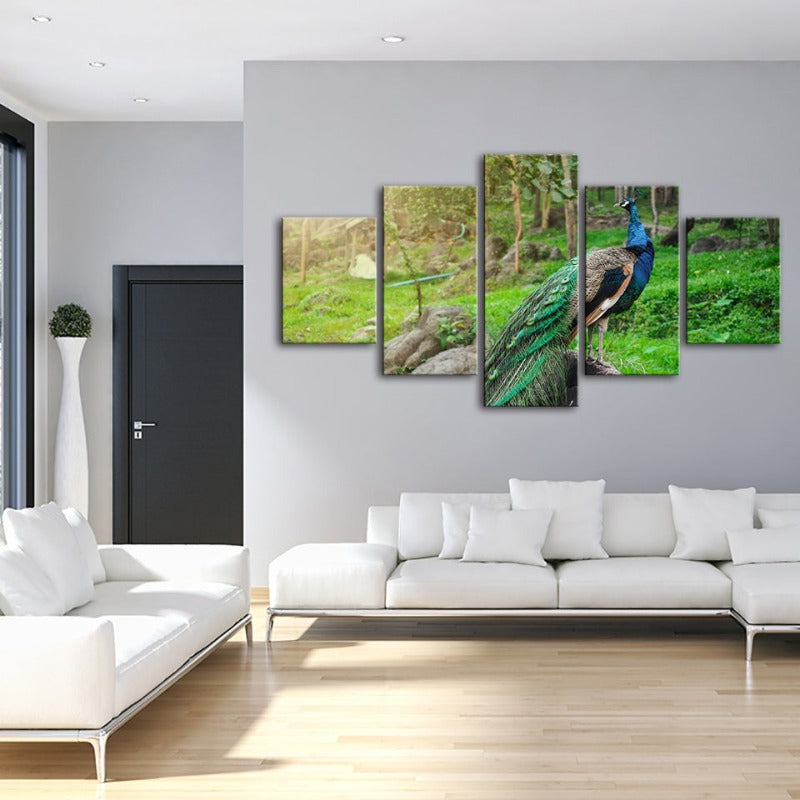 5-Piece Radiant Peacock Canvas Art Set