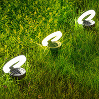 White Light