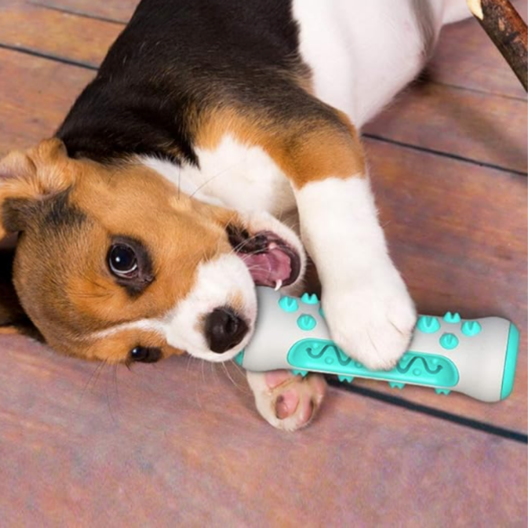 Interactive Rubber Dog Toy with Cleaning Features