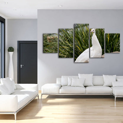 Serene White Peacock 5-Piece Canvas Art Set