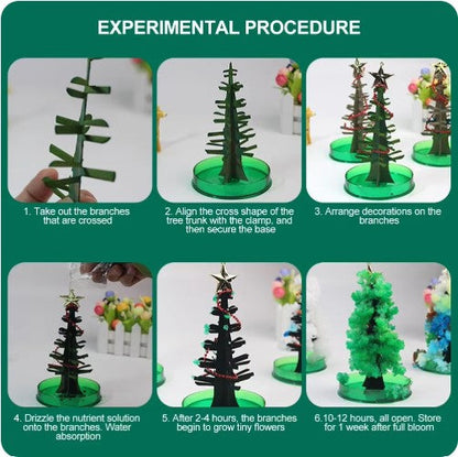 Christmas Tree – Experience the Magic of the Holiday Season