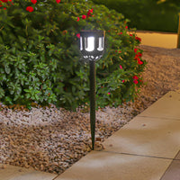 White Light