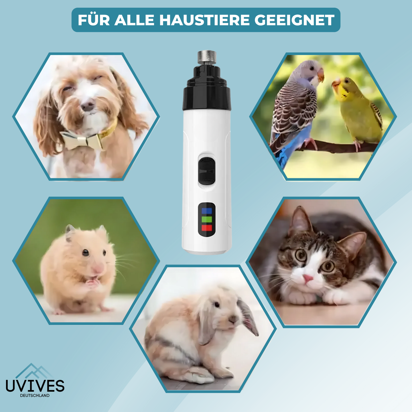 Gentle and Safe Nail Care for Your Dog