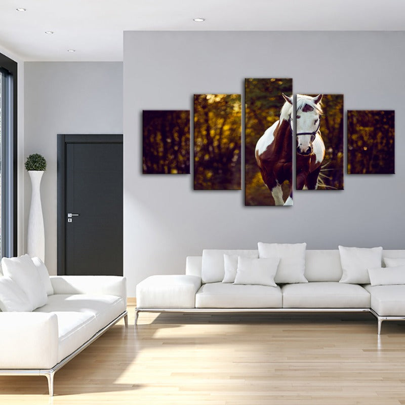 Serene Overo Horse Canvas Art Set – 5 Panel Decor