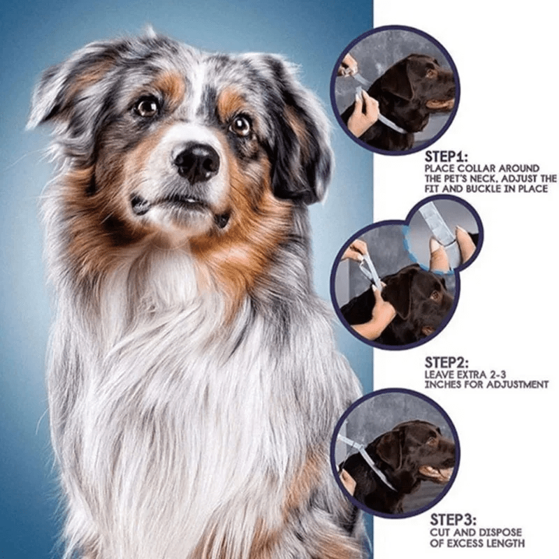 Nature's Serenity Pet Collar for Tick and Flea Defense