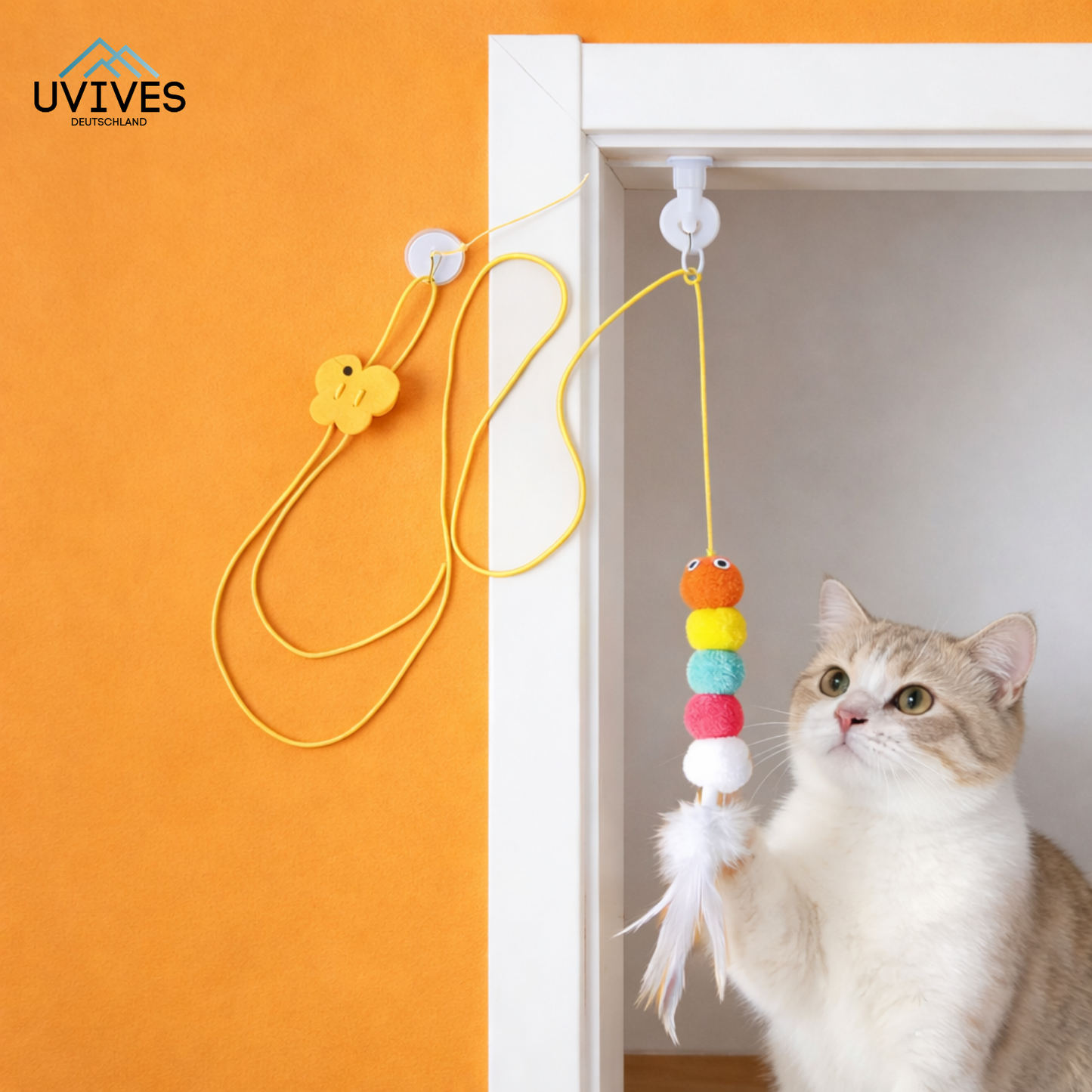 Buy One Get One Free | Ignite Your Cat's Energy and End Boredom Now