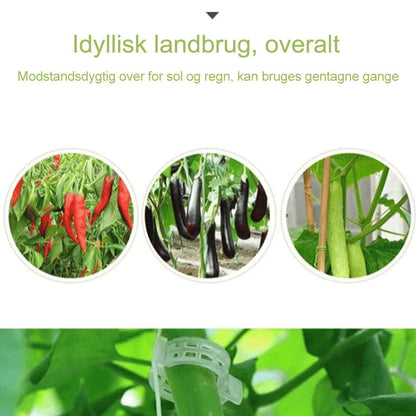 Support Clips for Healthy Plant Growth