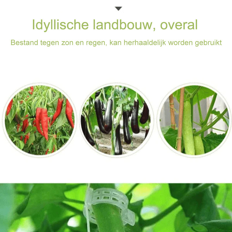 Support Clips for Thriving Plants