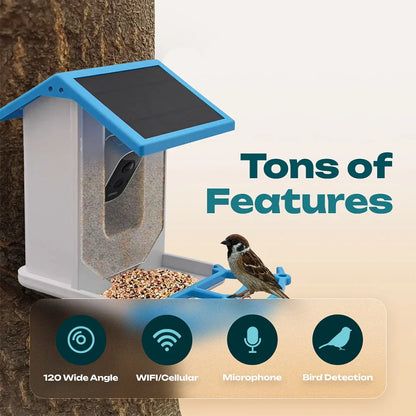 Smart Bird Feeder – Experience Nature Like Never Before