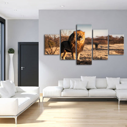 Majestic Lion in Sunlight - 5 Piece Canvas Art Set