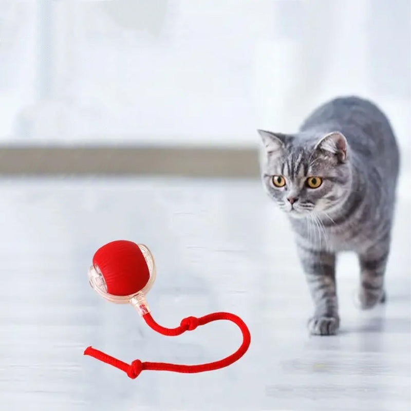Interactive Ball for Indoor Cats