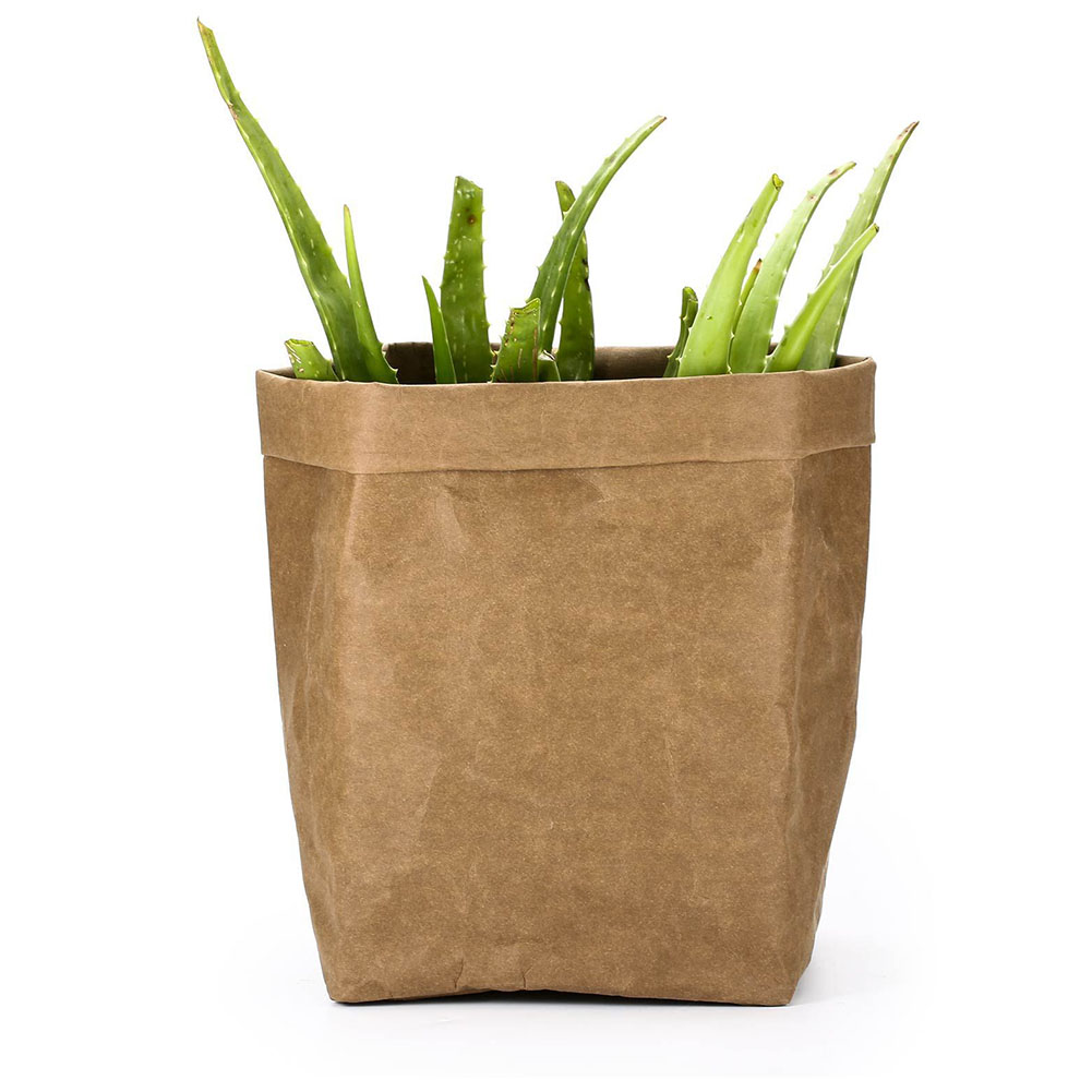 Collection of Eco-Friendly Decorative Planters