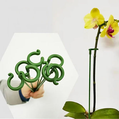Elegant Stem Support for Thriving Plants