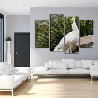 Serene Snowy Peacock - 4 Piece Canvas Art Set